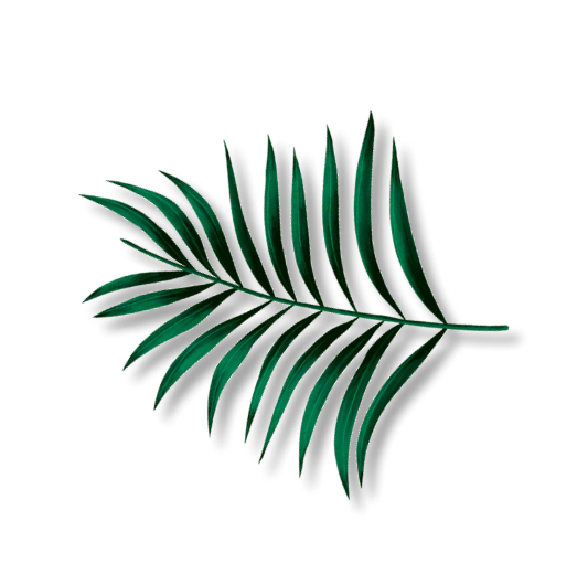 Изображение листка